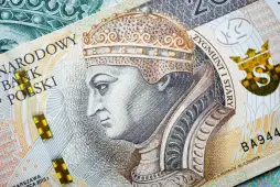 Co oznacza pożyczka bez BIK / bez sprawdzania bazy danych?